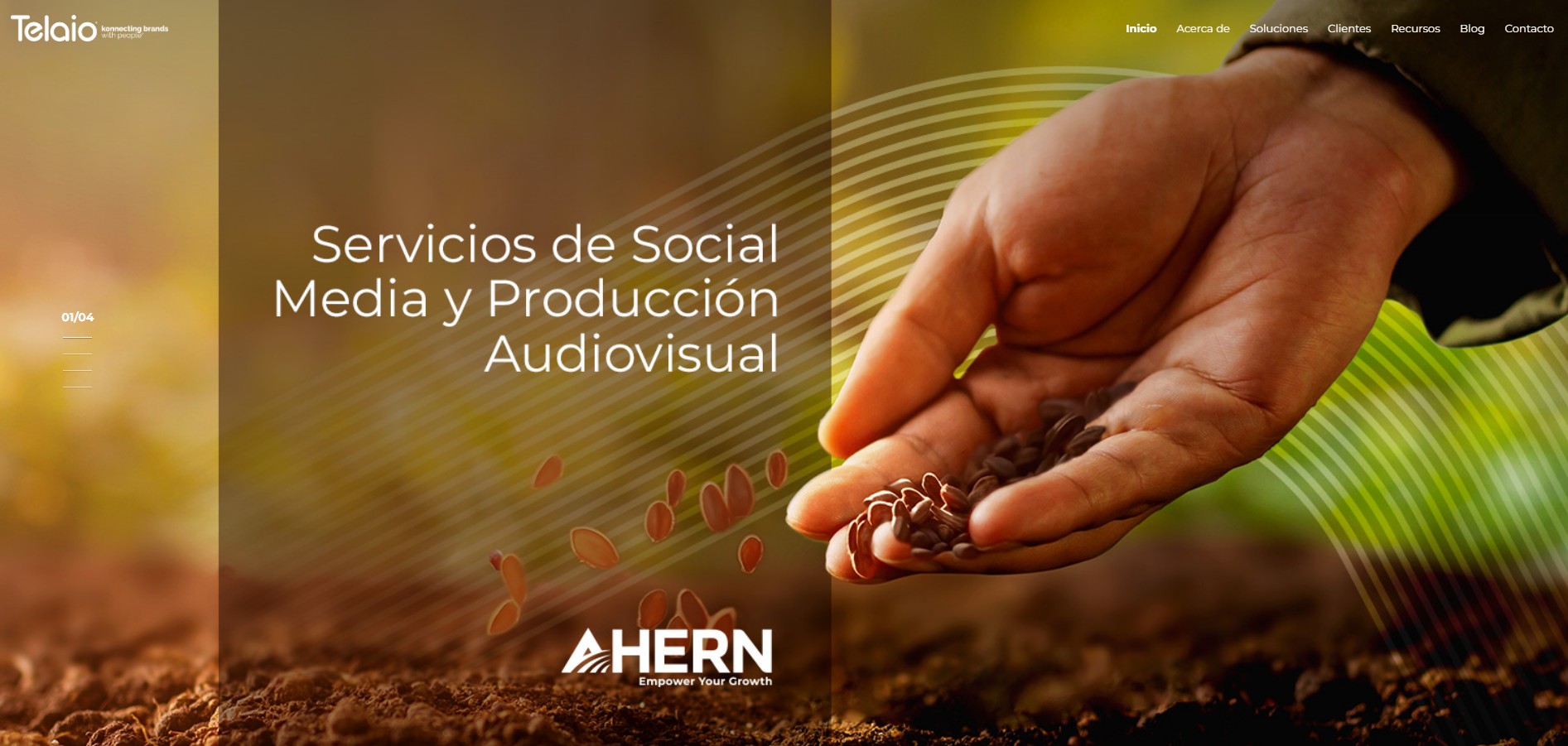 Telaio agencia de marketing digital mexico