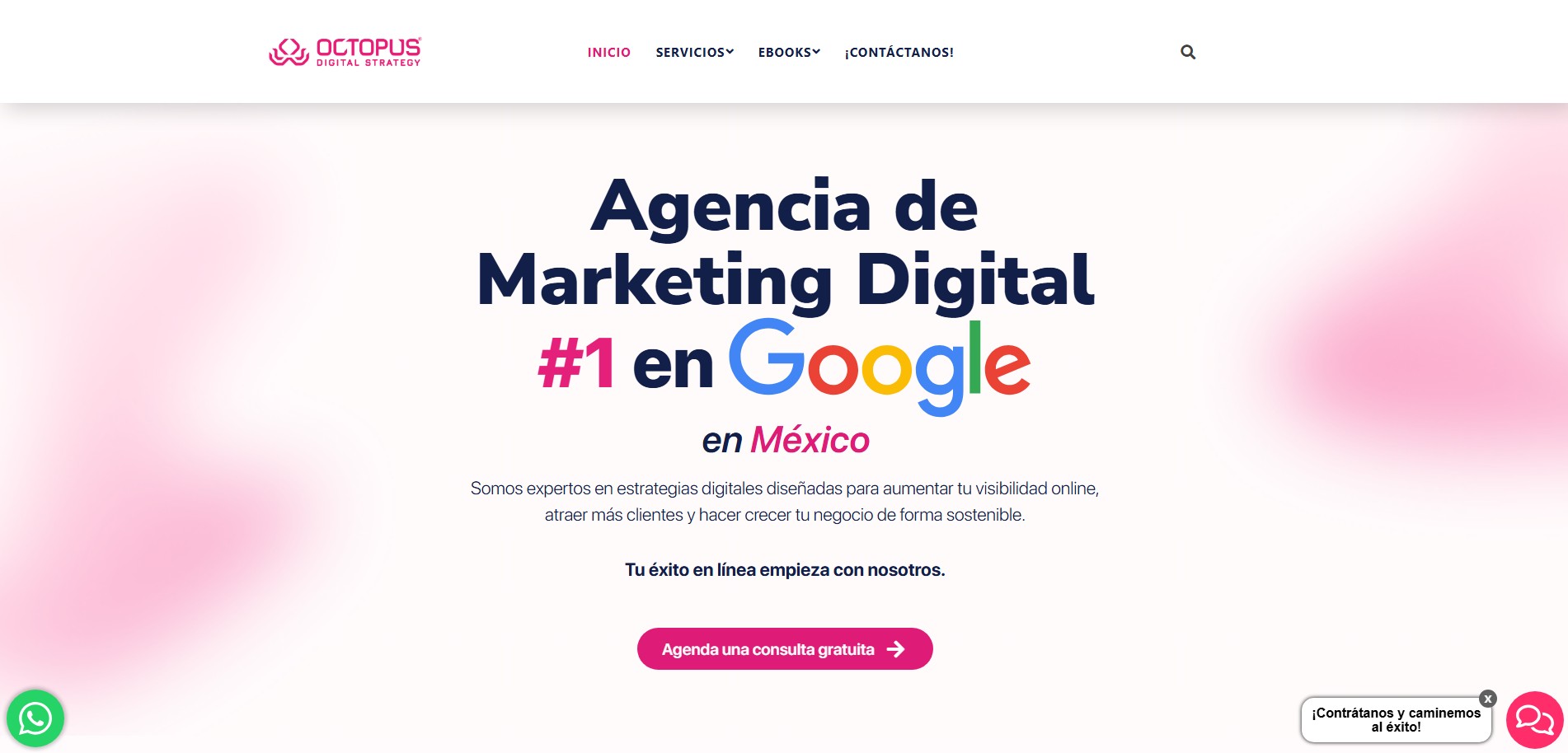 Octopus agencia de marketing mexico
